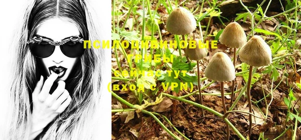 a pvp Инта
