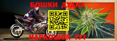 прущие грибы Анжеро-Судженск