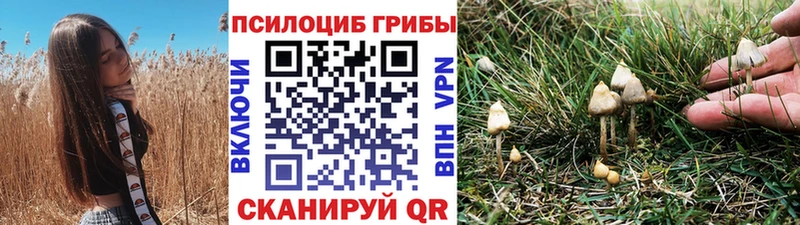 Псилоцибиновые грибы ЛСД  Ачинск 