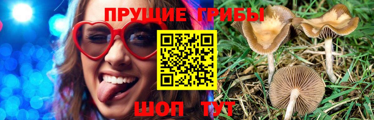 Галлюциногенные грибы мицелий  Вход с VPN  Ачинск 
