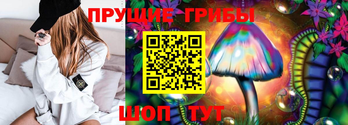 Псилоцибиновые грибы Psilocybine cubensis Ачинск