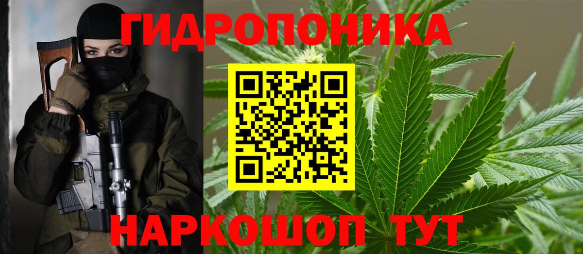 Конопля план Ачинск